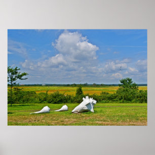 Shell Sculpture Poster