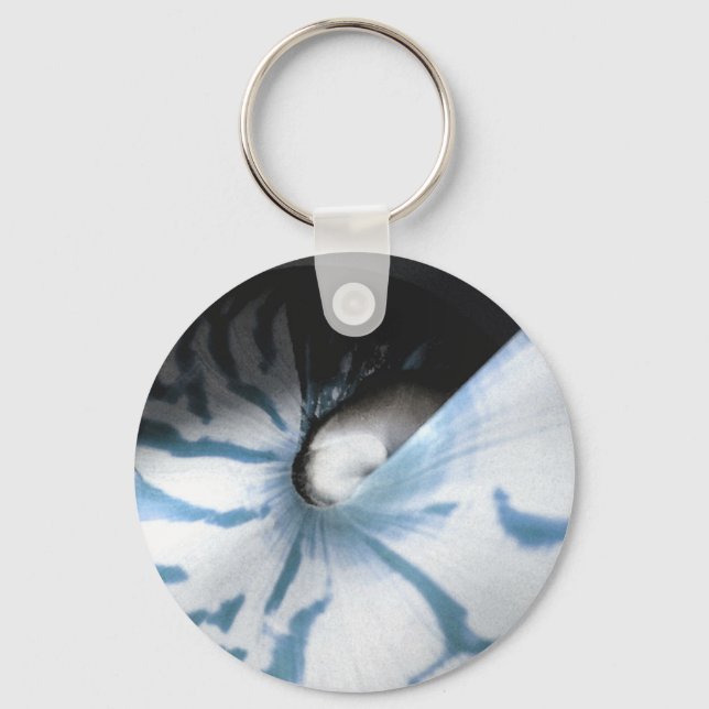 SHELL STUDY BLUE KEY RING (Front)