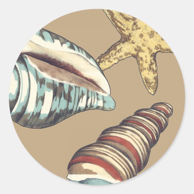 Shell Trio on Khaki Classic Round Sticker (Front)