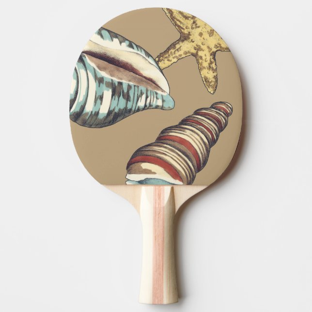 Shell Trio on Khaki Ping Pong Paddle (Front)
