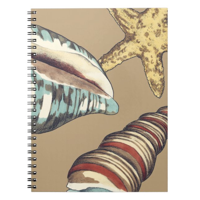 Shell Trio on Khaki Spiral Notebook (Front)