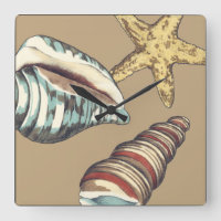 Shell Trio on Khaki