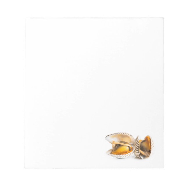 Shellfish Notepad (Front)