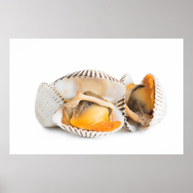 Shellfish Poster (Front)