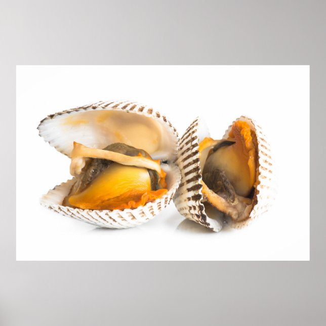 Shellfish Poster (Front)