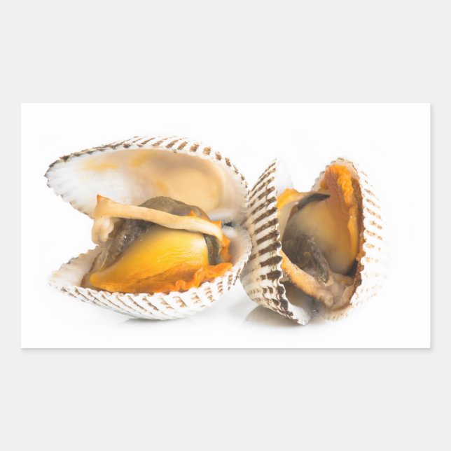 Shellfish Rectangular Sticker (Front)