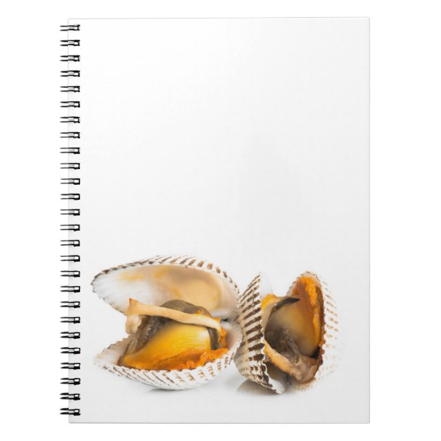 Shellfish Spiral Notebook (Front)