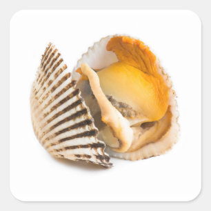 Shellfish Square Sticker