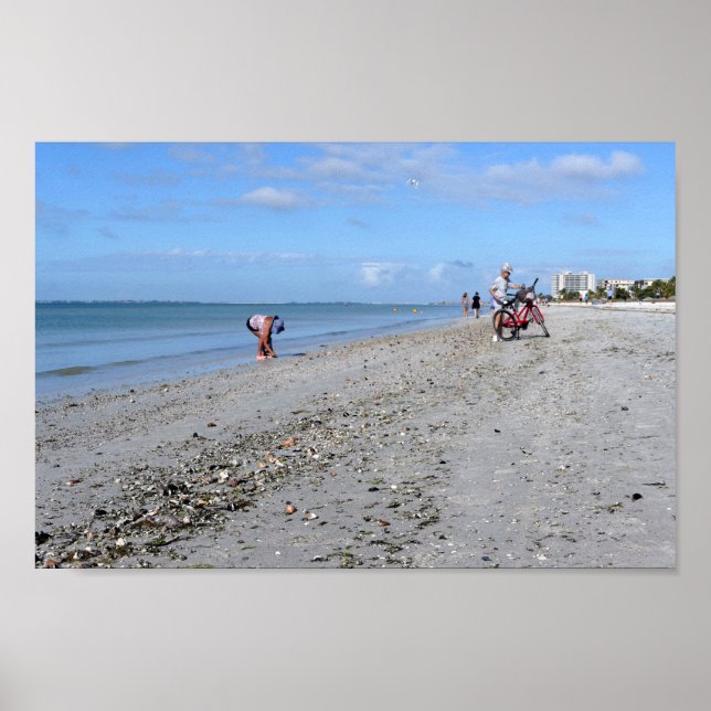 Shelling at Low Tide, Fort Myers Beach, Florida Poster (Front)