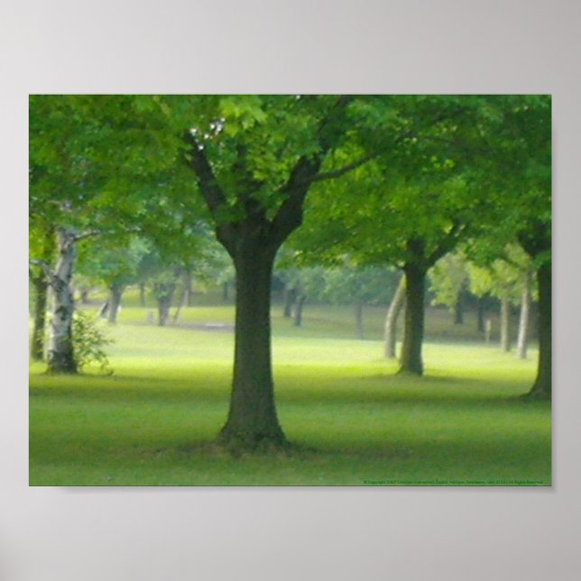Shellis Canvas Print, Unframed "The Magic Forest" Poster (Front)