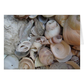 Shells