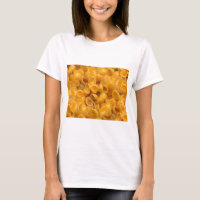 shells and cheese