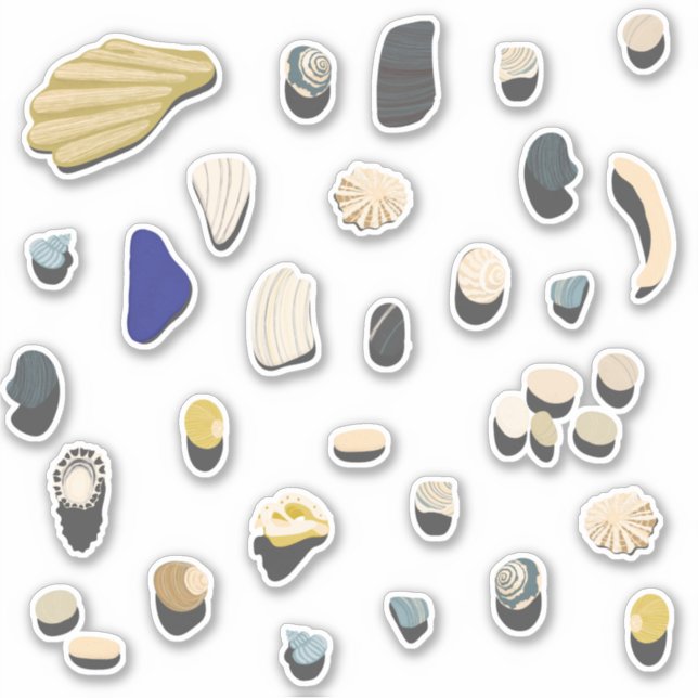 Shells and Pebbles Beach (Front)