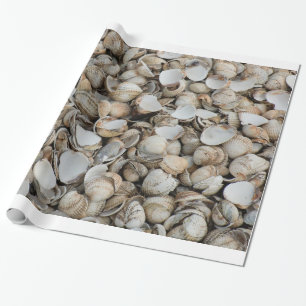 Shells background wrapping paper