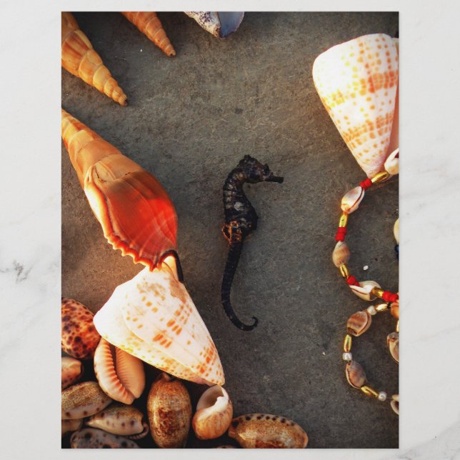 Shells Flyer (Front)