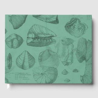 shells green mare collection guest book