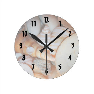 shells image from florida many seashells round clock