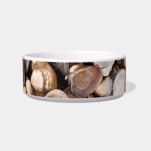 Shells in Mud Bowl