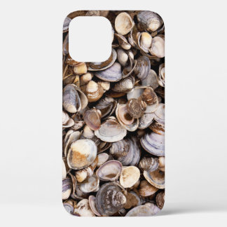 Shells in Mud iPhone 12 Case