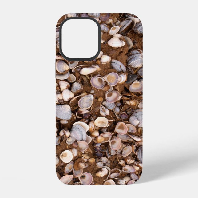 Shells in Mud iPhone Case (Back)