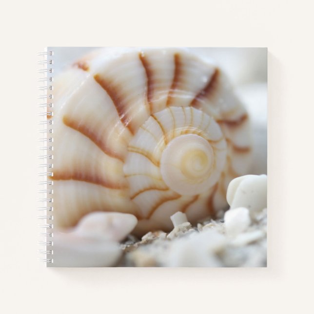 Shells in the Sand Notebook (Front)