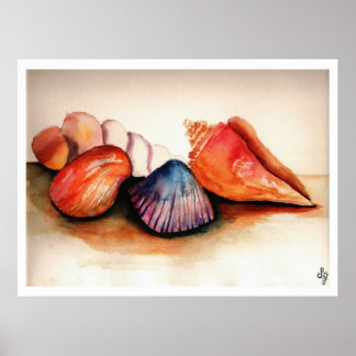 Shells Of Summer Poster