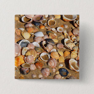 Shells On A Sandy Beach Andalusia, Spain 15 Cm Square Badge