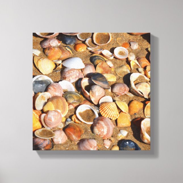 Shells On A Sandy Beach | Andalusia, Spain Canvas Print (Front)