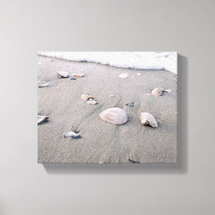 Shells On Sand Canvas Print