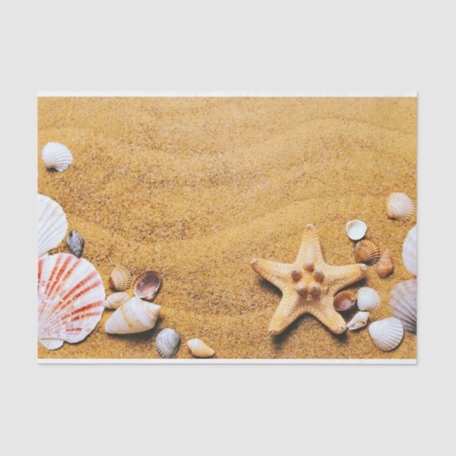 Shells on the beach tissue paper (Front)