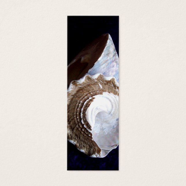 Shells Profile Card or bookmark (Front)