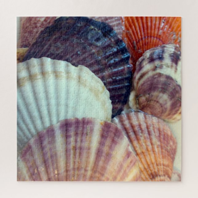 Shells Puzzle (Vertical)