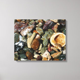 Shells, Rocks and Coral Nature Photography Canvas Print