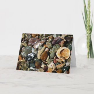 Shells, Rocks and Coral Nature Photography Card