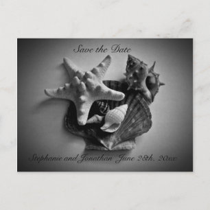 Shells Save the Date post card