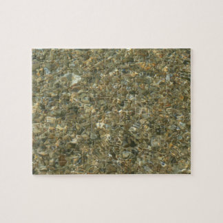 Shells Under Rippling Water Jigsaw Puzzle