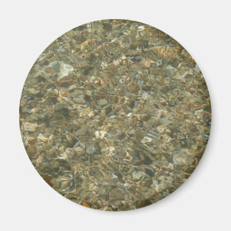 Shells Under Rippling Water Magnet