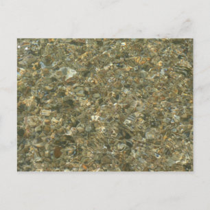 Shells Under Rippling Water Postcard