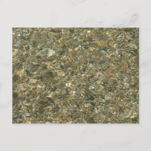Shells Under Rippling Water Postcard (Front)