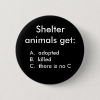 Shelter animals get:, A.  adoptedB.  kille...