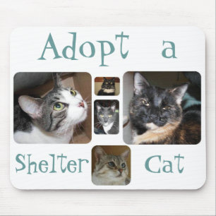 Shelter Cat Mousepad