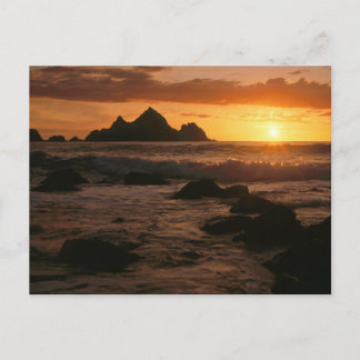 Shelter Cove Postcard