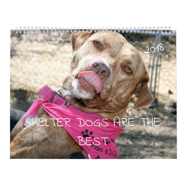 SHELTER DOGS ARE THE BEST 2018 CALENDAR (Cover)