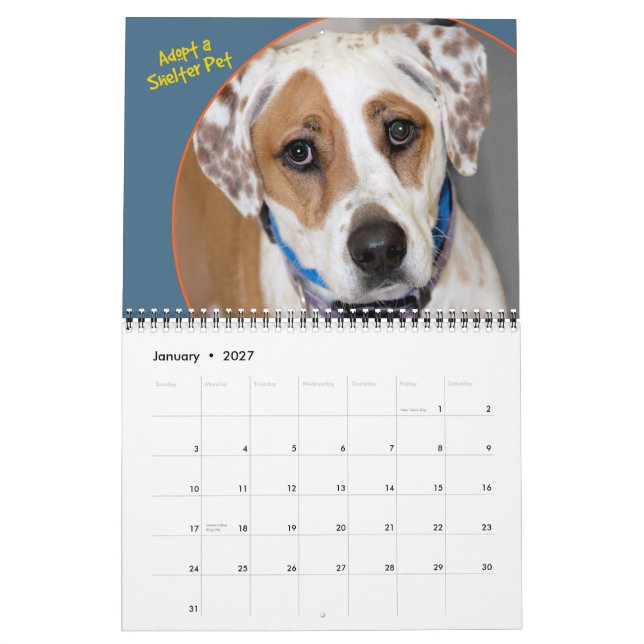 Shelter Dogs Calendar (Jan 2027)