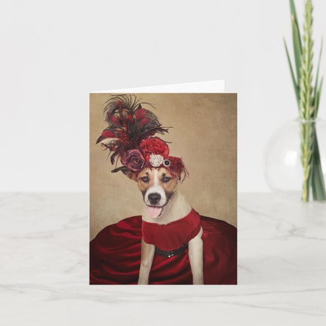 Shelter Pets Project - Baby Girl Card (Front)