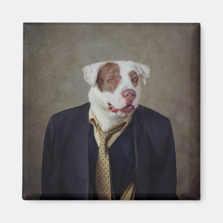 Shelter Pets Project - Casanova Magnet