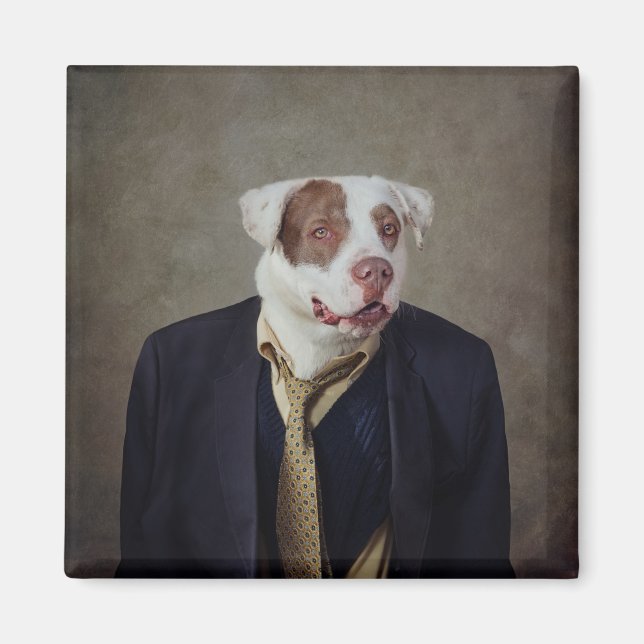 Shelter Pets Project - Casanova Magnet (Front)