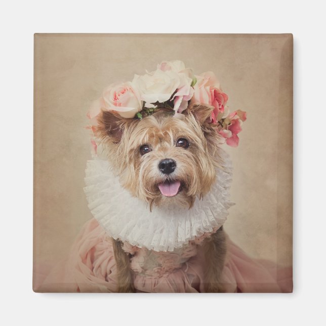 Shelter Pets Project - Cricket Magnet (Front)