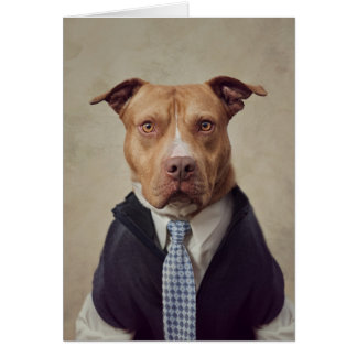Shelter Pets Project - General Patton