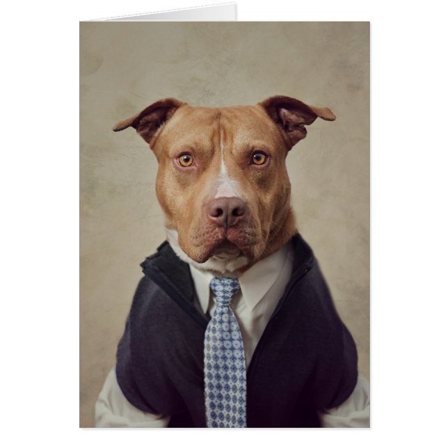 Shelter Pets Project - General Patton (Front)